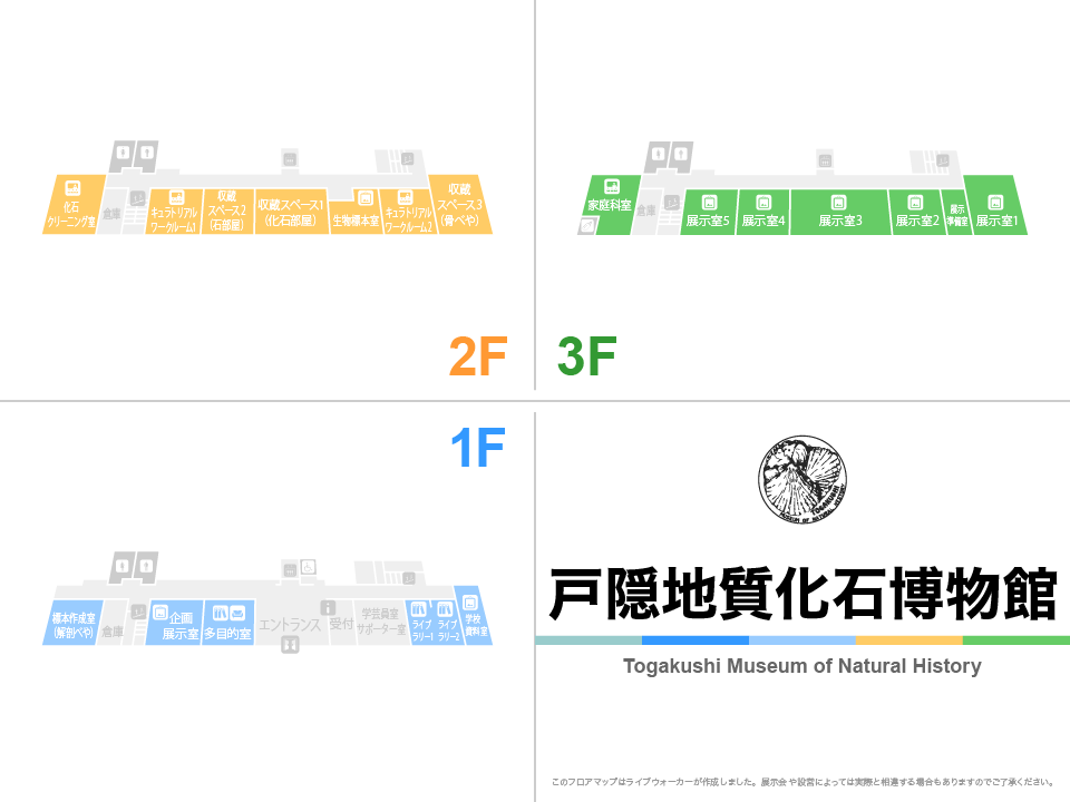 戸隠地質化石博物館のフロアマップ・ミュージアム
