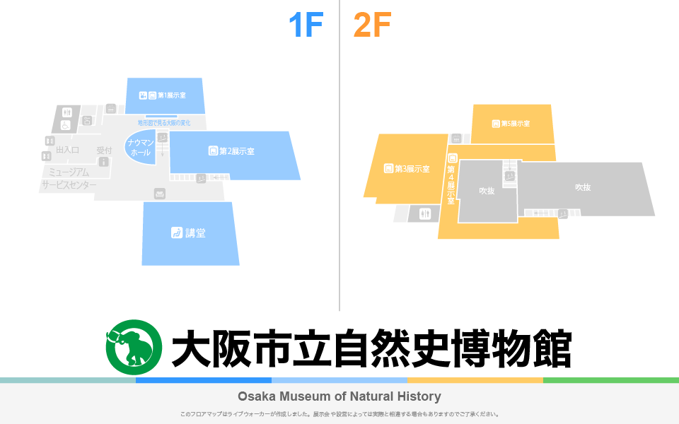 大阪市立自然史博物館のフロアマップ・ミュージアム